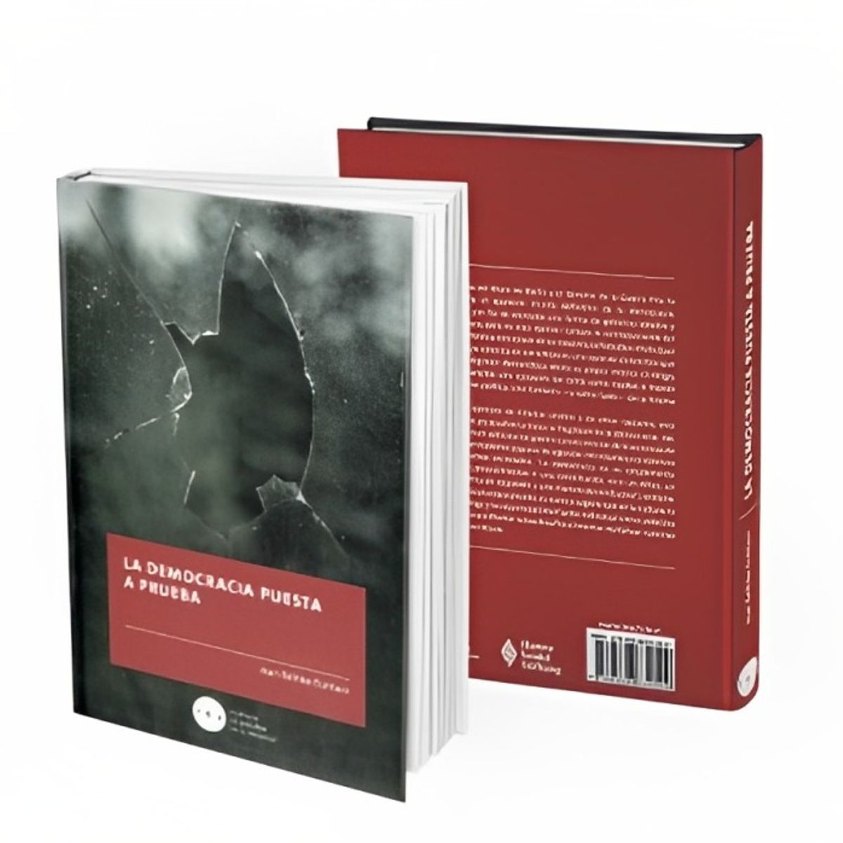 TOP10BOOKS - LIBRO La Democracia Puesta A Prueba - La Democracia Puesta A Prueba