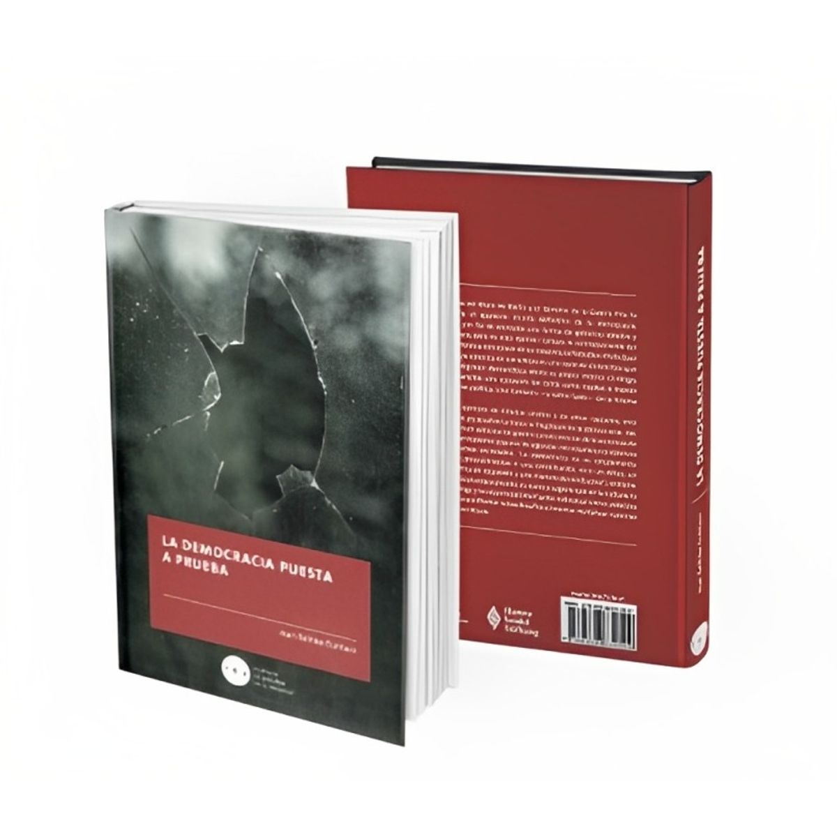 TOP10BOOKS - LIBRO La Democracia Puesta A Prueba - La Democracia Puesta A Prueba