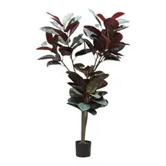 ML DESIGN - Planta Gomero L modelo Campiña