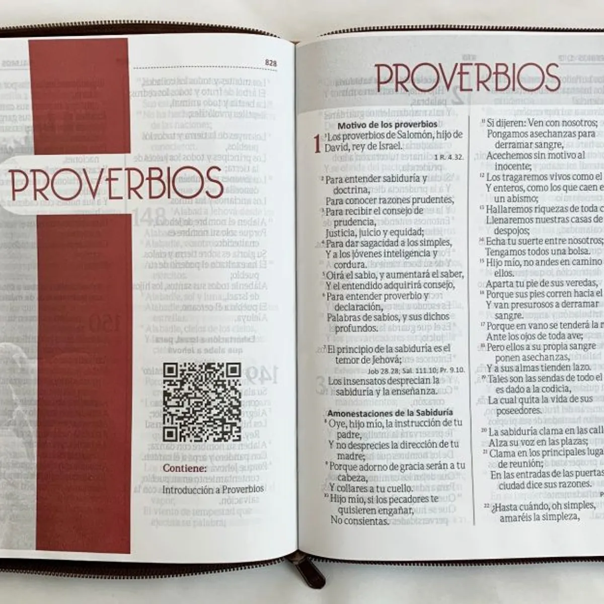 SOCIEDADES BIBLICAS UNIDAS - Biblia Reina Valera 1960 Letra Gigante café concordancia cierre León