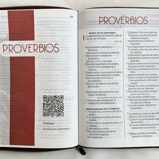 SOCIEDADES BIBLICAS UNIDAS - Biblia Reina Valera 1960 Letra Gigante café concordancia cierre León