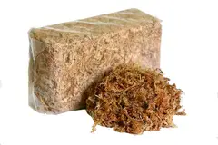 GENERICO - Musgo Sphagnum 1 Kilo Orquideas, Kokedamas, etc
