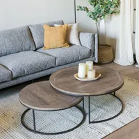 Mesa De Centro Nido Gustav Amoblé