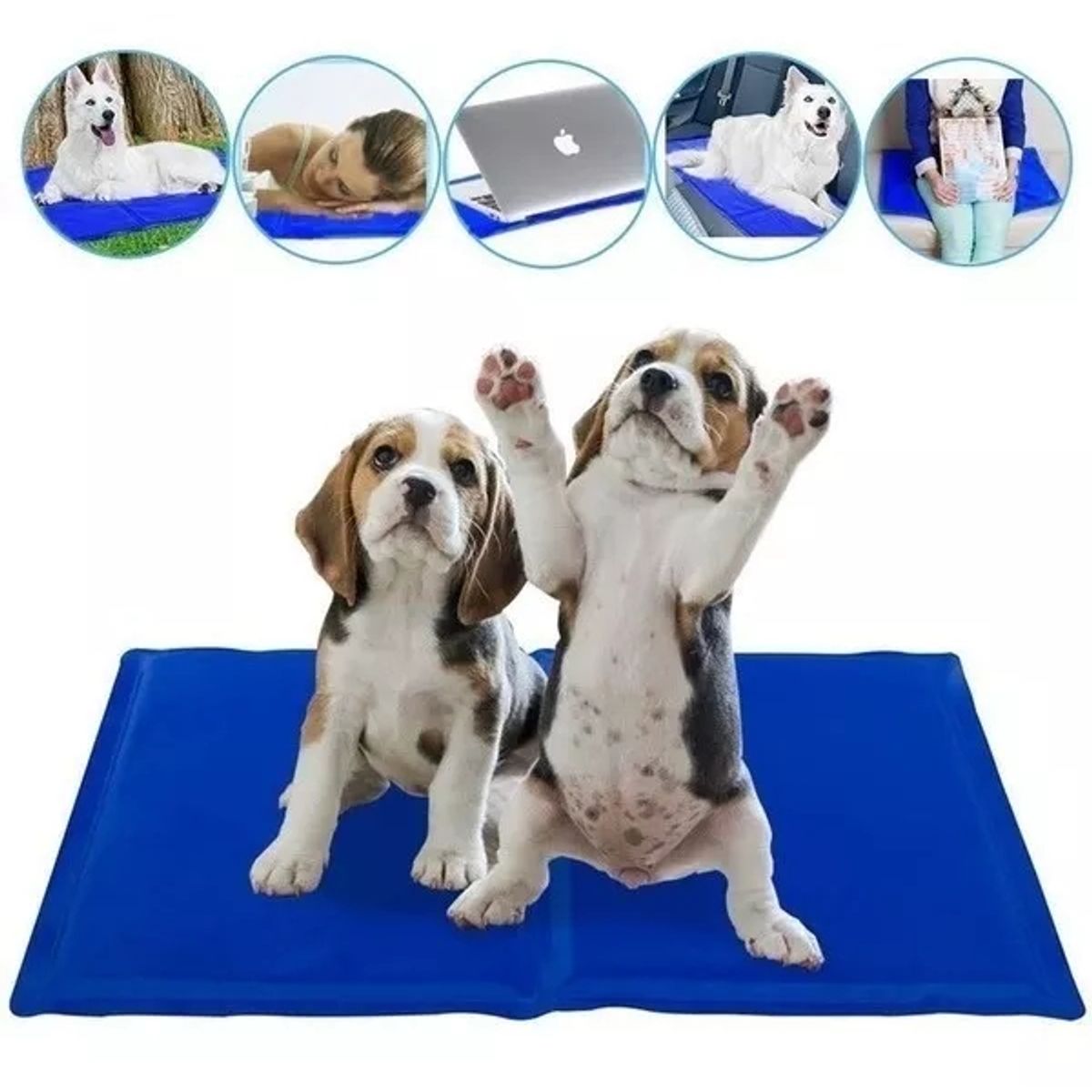 CARIBEE - Manta Refrescante M Pet Cool Mat Mascotas