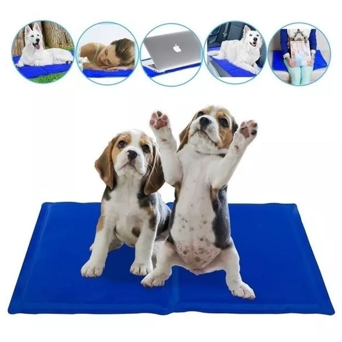 CARIBEE - Manta Refrescante M Pet Cool Mat Mascotas