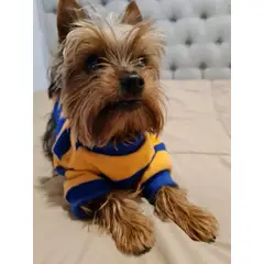 IDS - Sweater Mateo Para Mascota Perro Gato XL