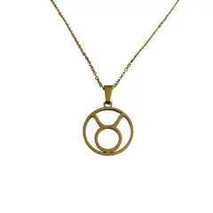 GENERICO - Colgante Tauro Acero Inoxidable con Cadena 50 cms