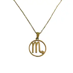GENERICO - Colgante Signo Escorpio Acero Inoxidable con Cadena 50 cms