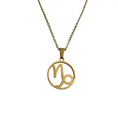 GENERICO - Colgante Signo Capricornio Acero Inoxidable con Cadena 50 cms
