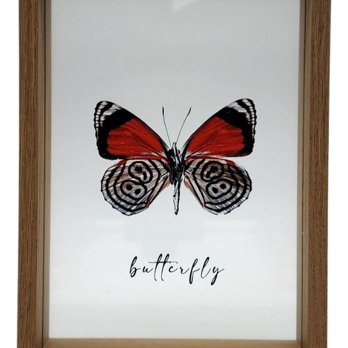 GENERICO - Cuadro De Vidrio Marco Madera Diseño Mariposa Grande