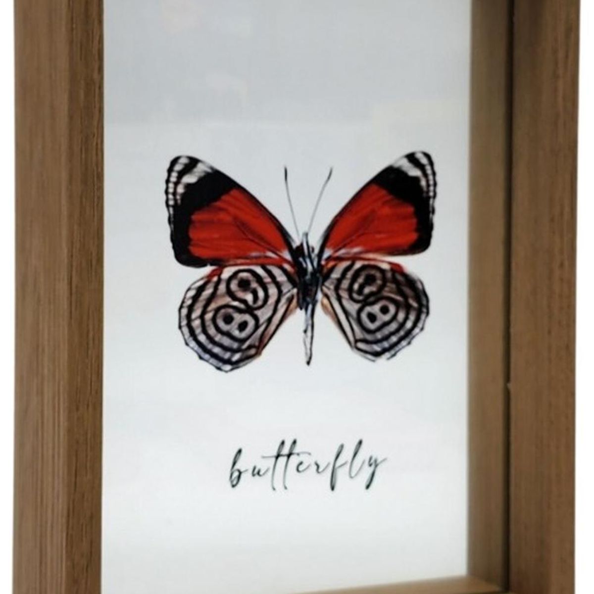 GENERICO - Cuadro De Vidrio Marco Madera Diseño Mariposa Grande