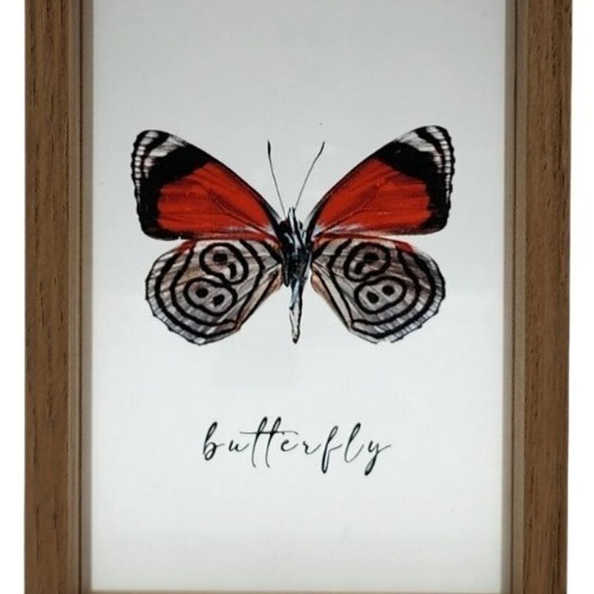 GENERICO - Cuadro De Vidrio Marco Madera Diseño Mariposa Decorativo