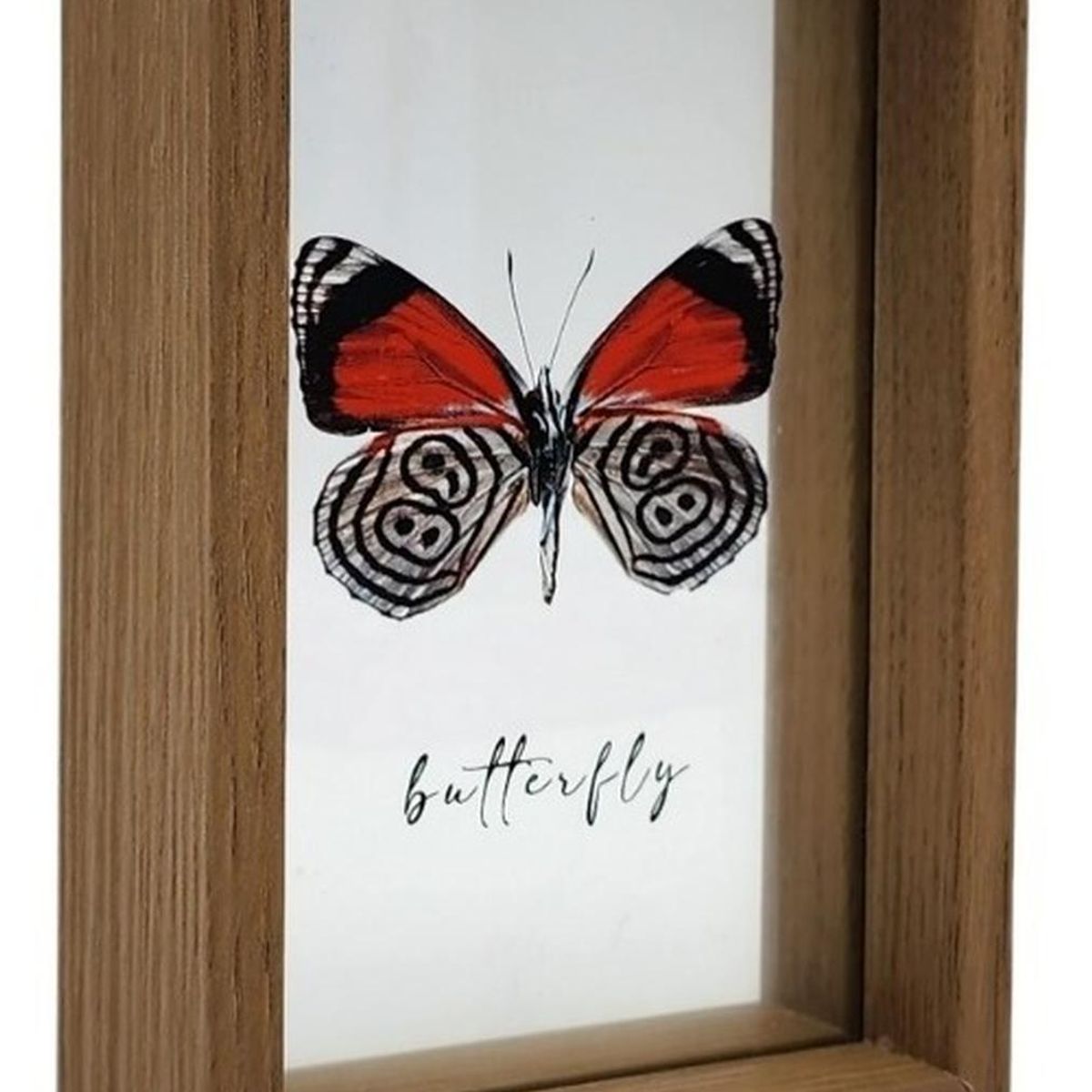 GENERICO - Cuadro De Vidrio Marco Madera Diseño Mariposa Decorativo