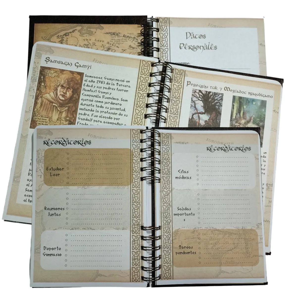 INDEPENDIENTE - Planificador Anual Lord Of The Ring El Señor De Los Anillos 2