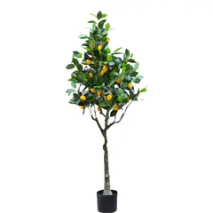 ML DESIGN - Arbol Mandarino Campiña ML