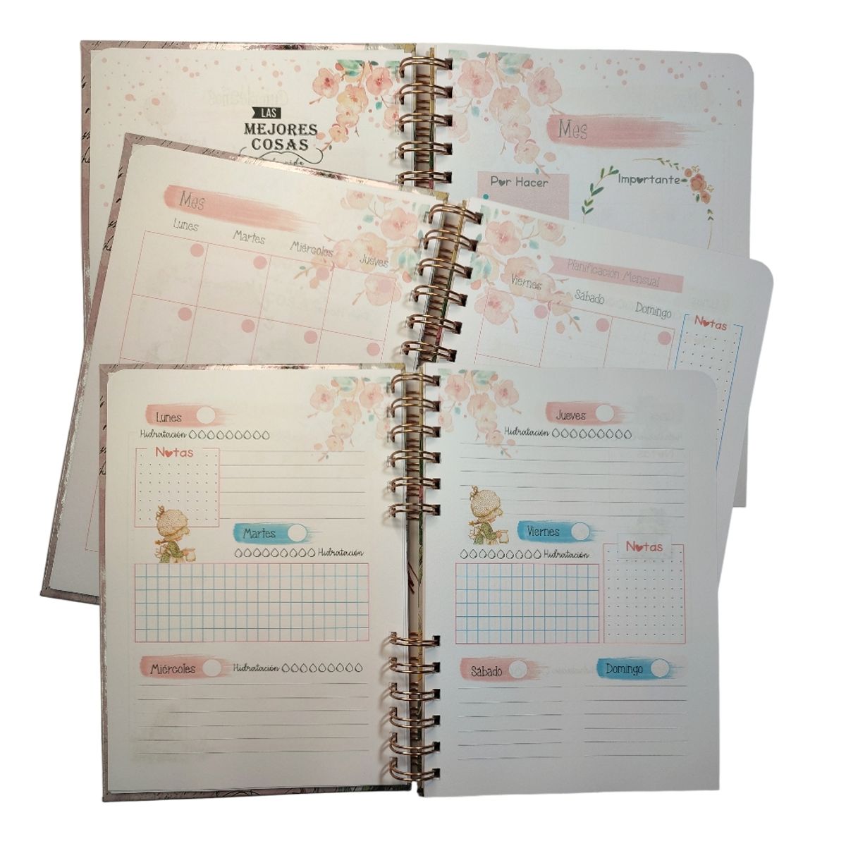 INDEPENDIENTE - Planificador Anual Sara Kay 6