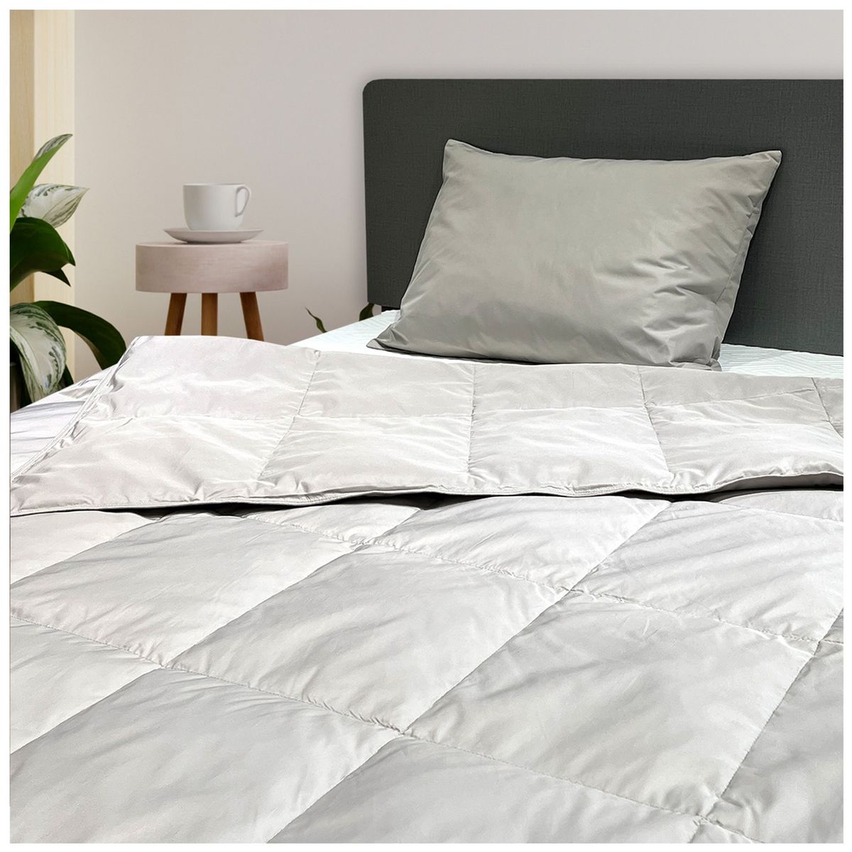 INSPIRACCI - Plumón Pluma Nize 1.5 Plazas Arena