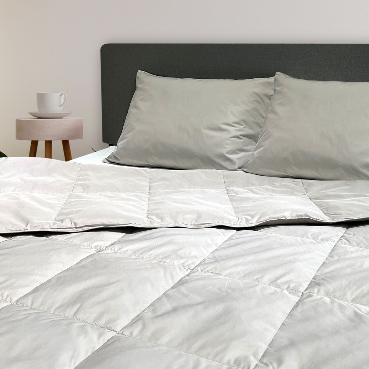 INSPIRACCI - Plumón Pluma Nize 2 Plazas Arena