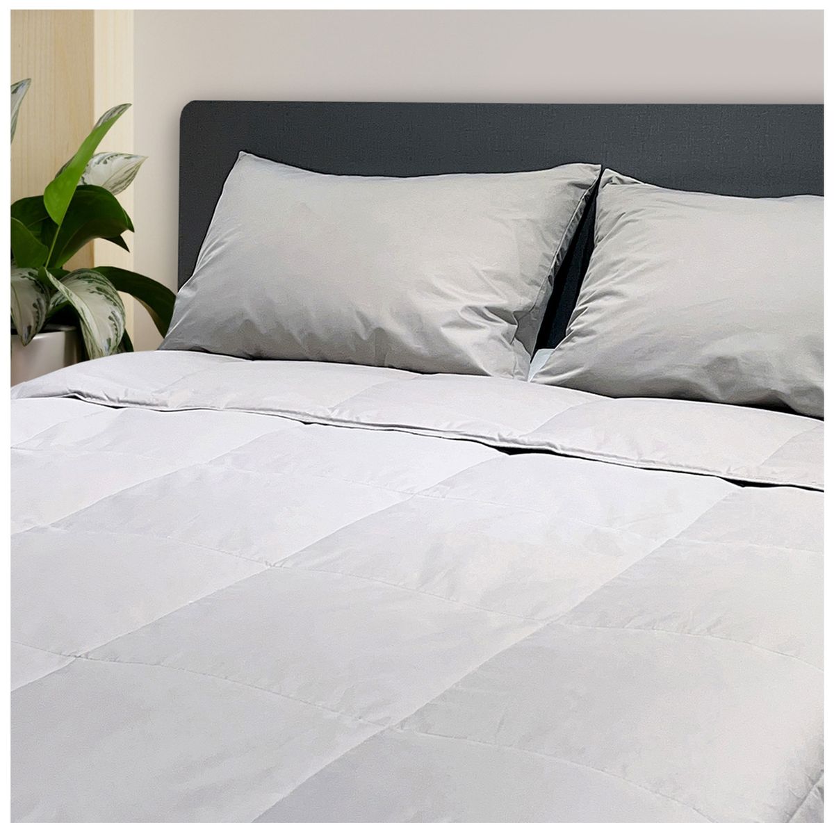 INSPIRACCI - Plumón Pluma Nize King Arena