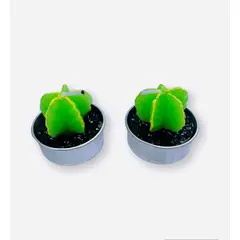 GENERICO - DOS CAJITAS DE VELAS CACTUS…