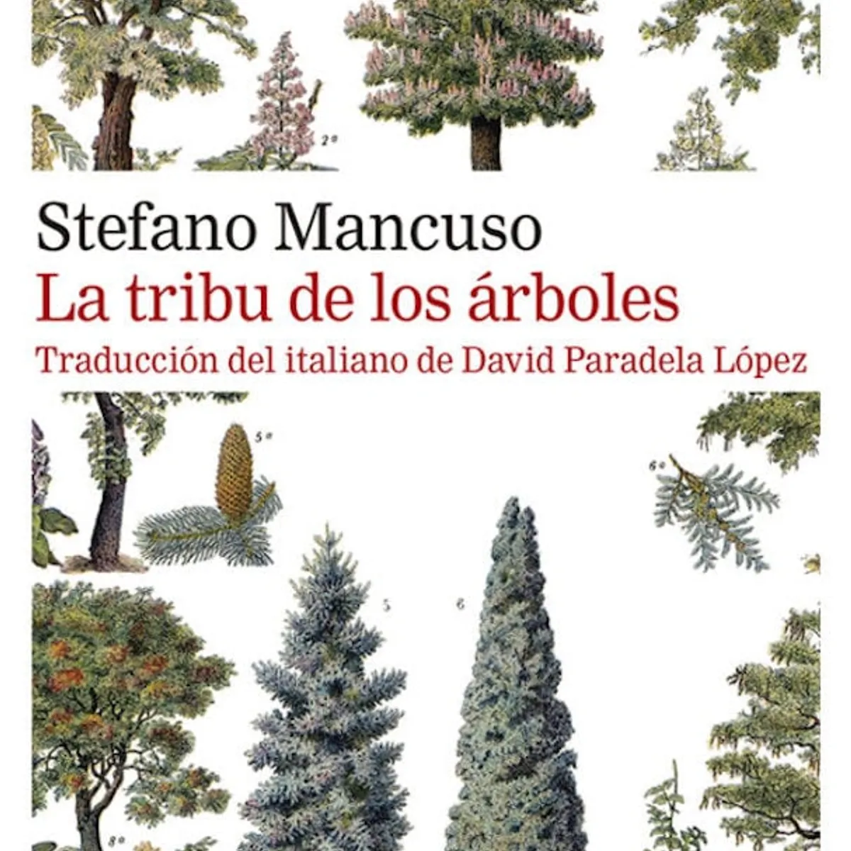 TOP10BOOKS - LIBRO La Tribu De Los Arboles - La Tribu De Los Arboles