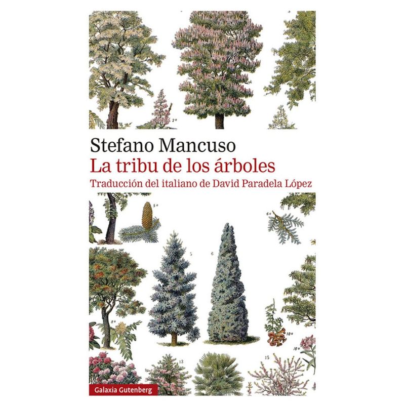 TOP10BOOKS - LIBRO LA TRIBU DE LOS ARBOLES / STEFANO MANCUSO / GALAXIA GUTENBERG