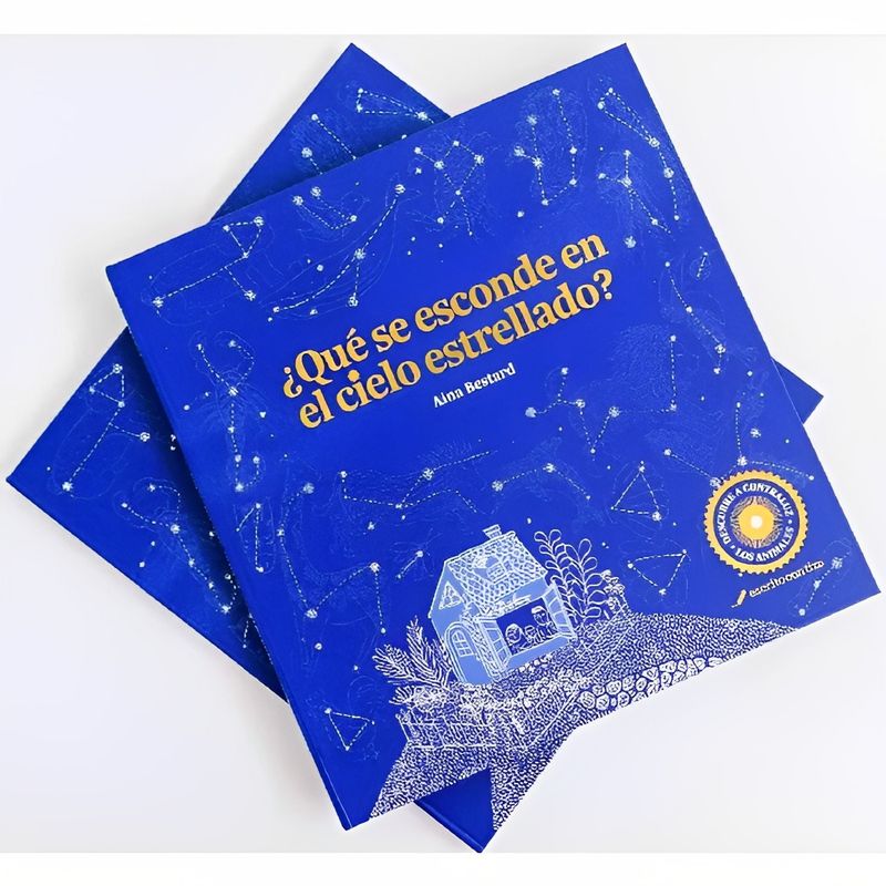 TOP10BOOKS - LIBRO ¿QUÉ SE ESCONDE EN EL CIELO ESTRELLADO? / AINA BESTARD / ESCRITO CON TIZA