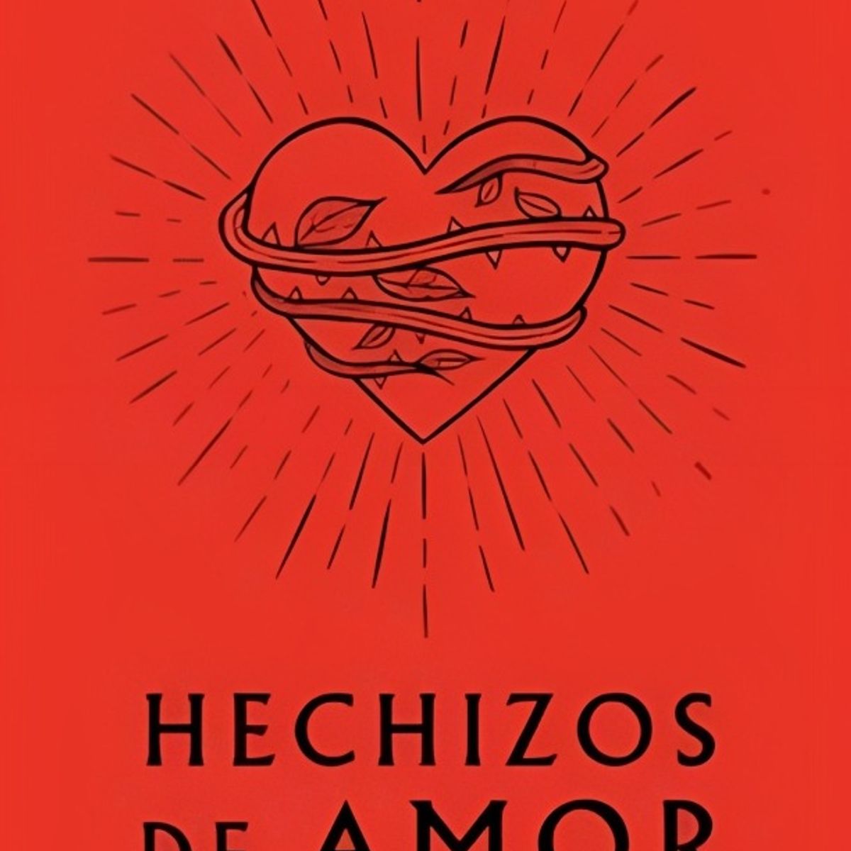 TOP10BOOKS - LIBRO H e c h i z o s De Amor - H e c h i z o s De Amor