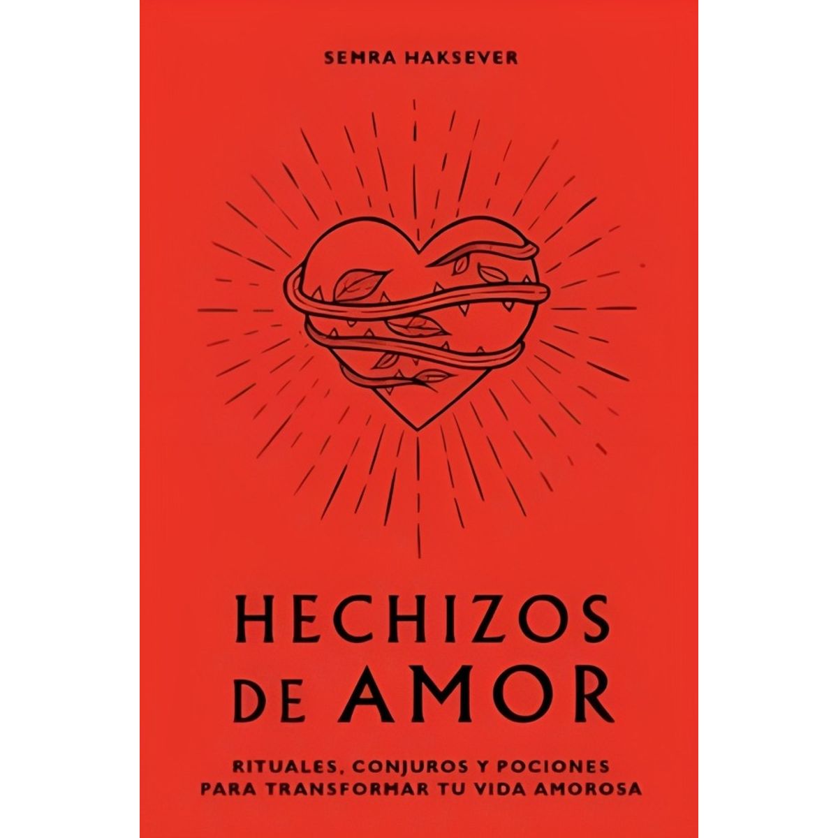 TOP10BOOKS - LIBRO H e c h i z o s De Amor - H e c h i z o s De Amor