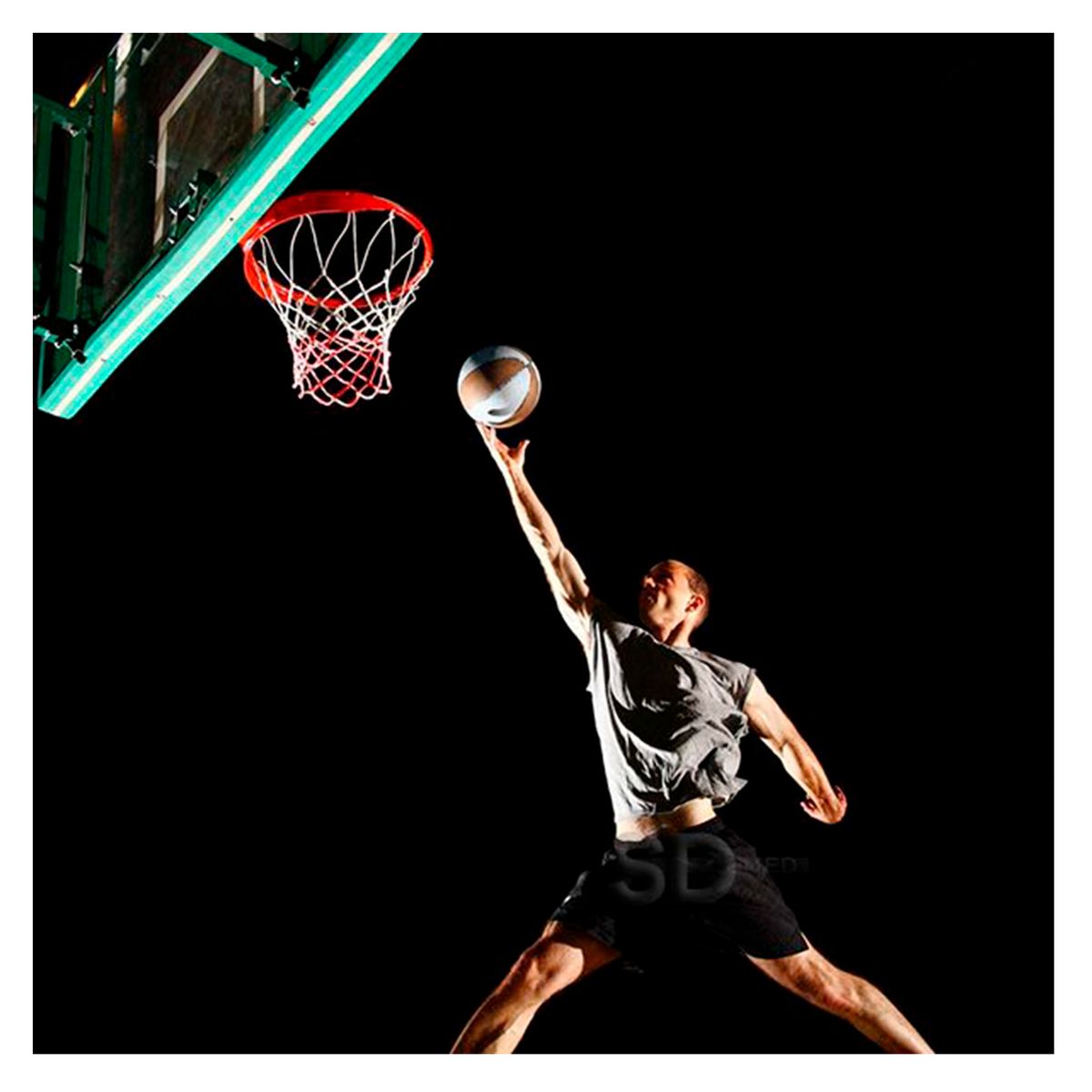 SDFIT - Aro Basquetbol  7 kg Basketball Profesional 45 Cm con Red…