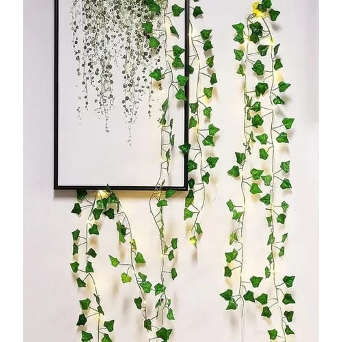 GENERICO - GUIRNALDA 50 LED ENREDADERA BODA 7 MTS BLANCO CÁLIDO SOLAR