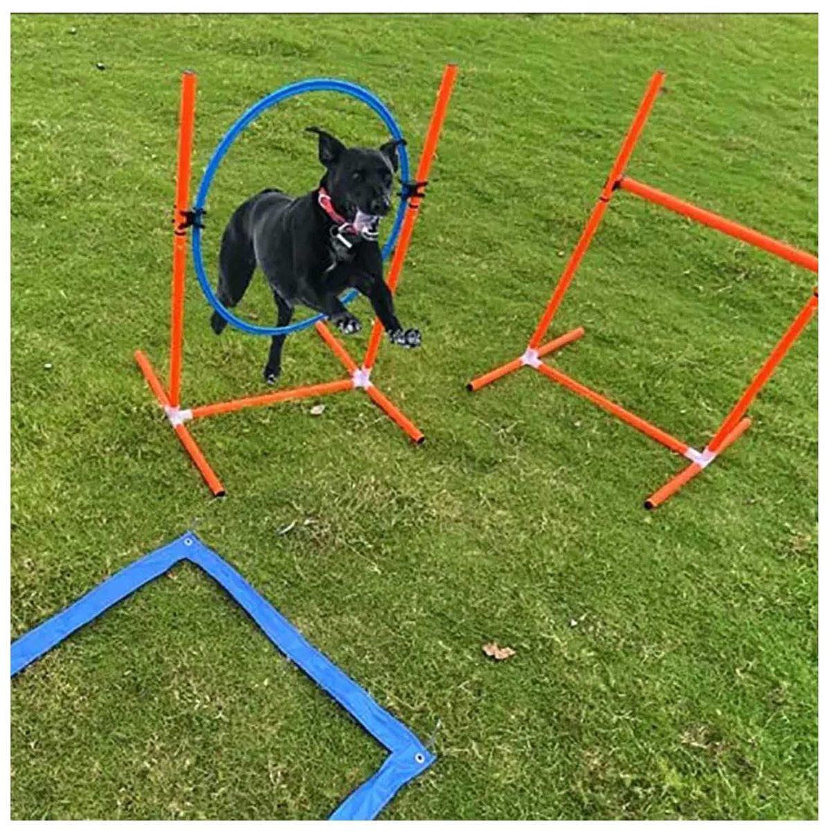 GENERICO - Kit Entrenamiento Agilidad Perros Cursos De Obstáculos