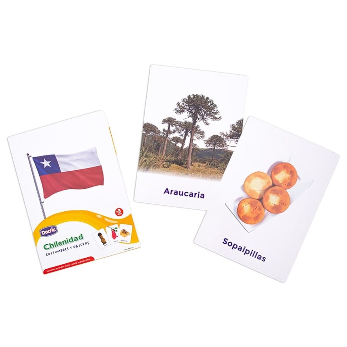 DACTIC - LÁMINAS CHILENIDAD DACTIC