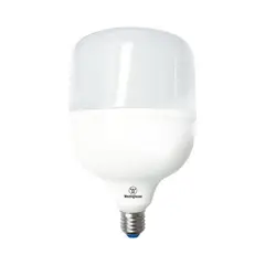 WESTINGHOUSE - AMPOLLETA LED T-BULB T100 40W LUZ BLANCO FRÍO E27