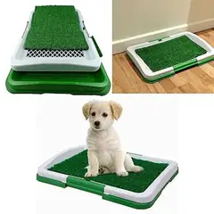 GENERICO - Baño Para Perros Y Gatos Ecológico Mascota 3 Niveles 47x34cm
