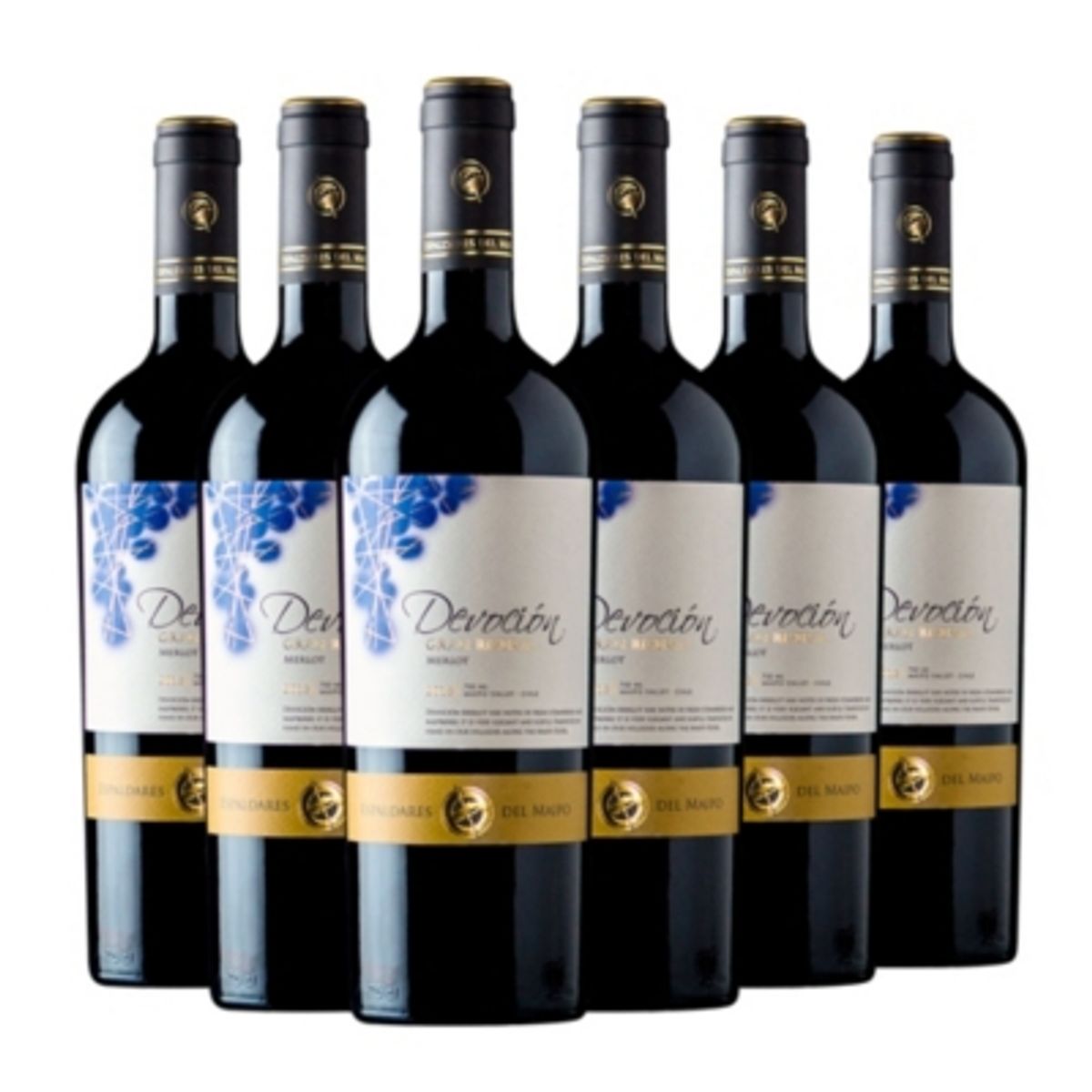 ESPALDARES DEL MAIPO - CAJA X 6 VINOS DEVOCIÓN GRAN RESERVA MERLOT
