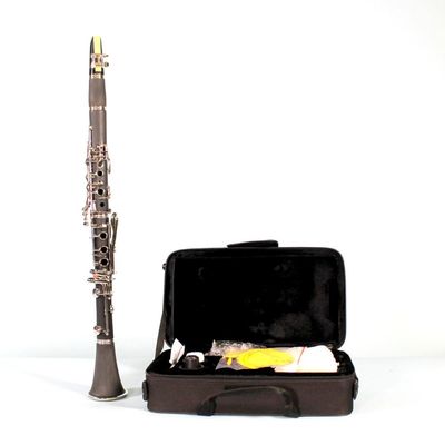 Imagen 2 del producto Clarinete En Bb 6402E