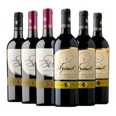 GENERICO - CJA X 6 VINOS MIX RESERVA LATITUD SUR Y AZIMUT CER