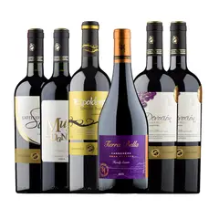 VINA ESPALDARES DEL MAIPO - CJA X 6 VINOS ESPECIAL CARMENERE ESPALDARES DEL MAIPO