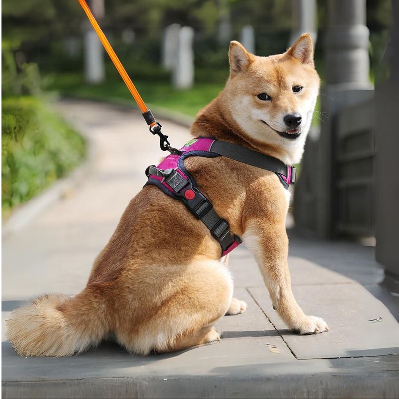 SUSU - Arnés Premium reforzado para perros activos Talla L Fucsia