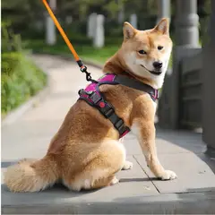 SUSU - Arnés Premium reforzado para perros activos Talla L Fucsia