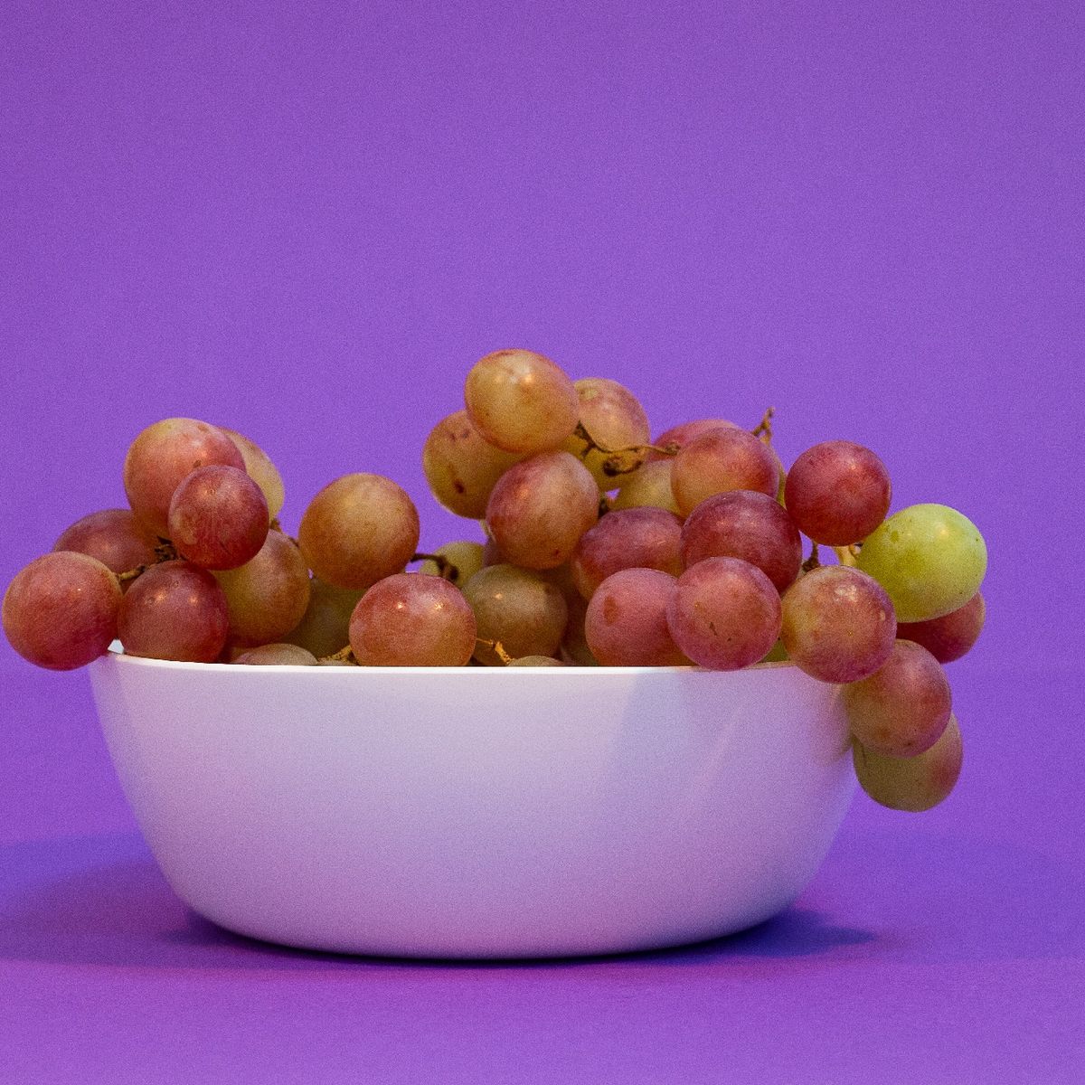 COZA - Contenedor de Plástico con Tapa 250ml Coza Gris