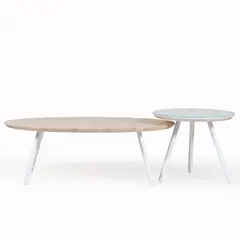 MEDULAR - Mesa de centro aula natural