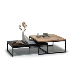 MEDULAR - Mesa de centro duo wood black lenga