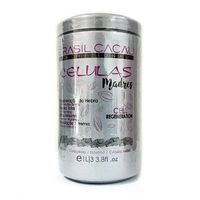 Tratamiento Everglam Celulas Madres 1000ml