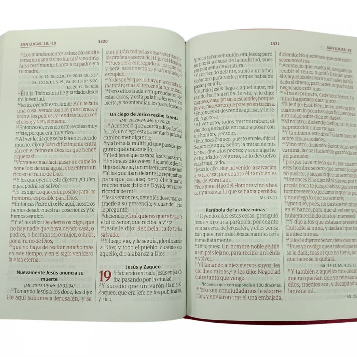SOCIEDAD BIBLICA CHILENA - Biblia Reina Valera 1960 Letra gigante – Bicolor fucsia / rosado sin cierre