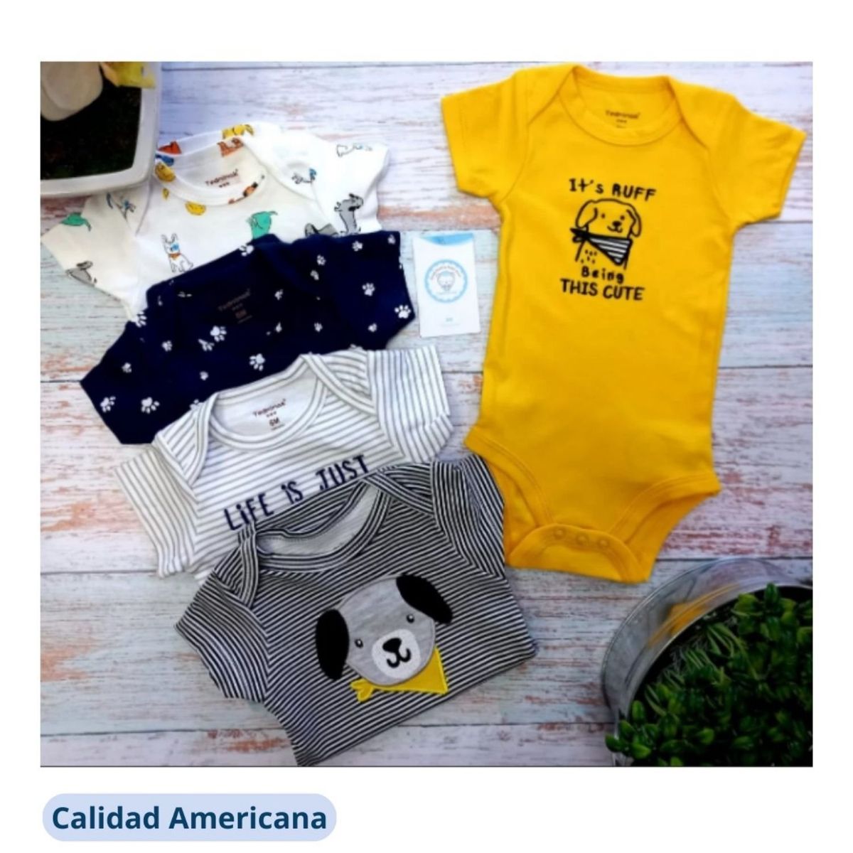 TEDMIMAK - Pack 5 Bodys Bebe Niño Tedmimak Algodón Manga Corta Surtido