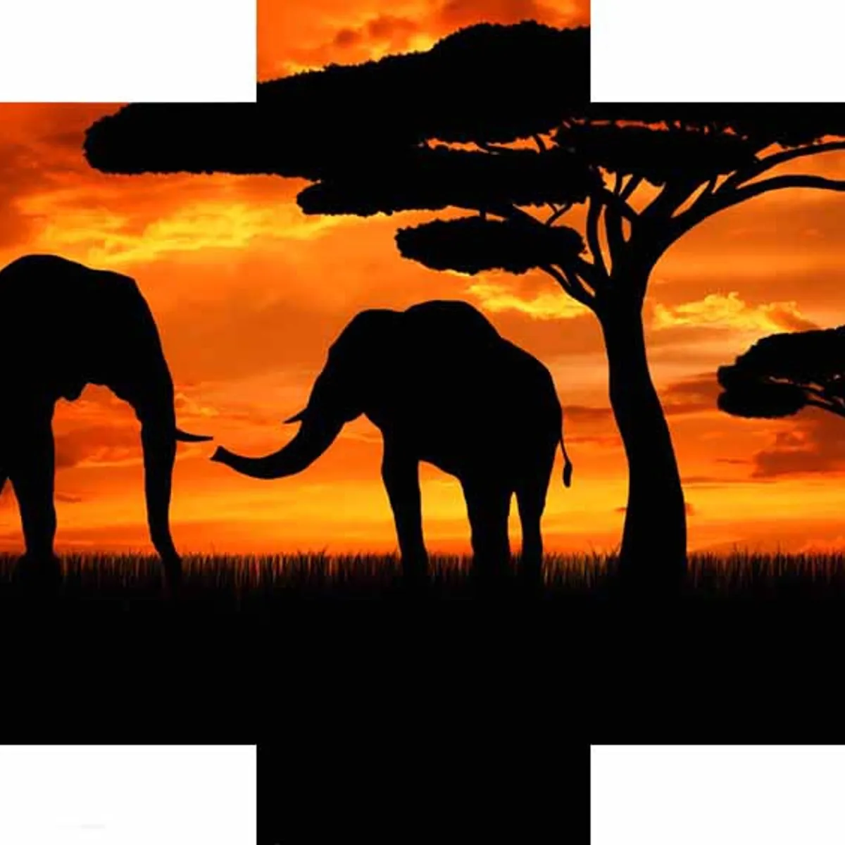 GENERICO - Cuadros Polipticos De 150x80 De Elefantes