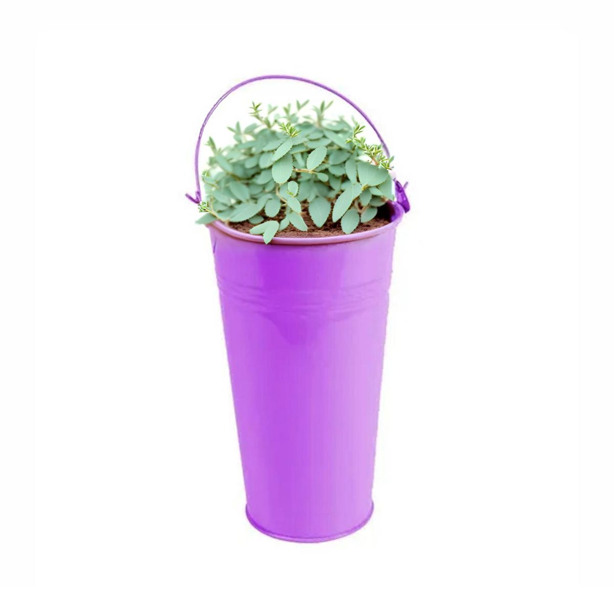 HOME ESSENTIALS - Balde metálico lila 13x20cm