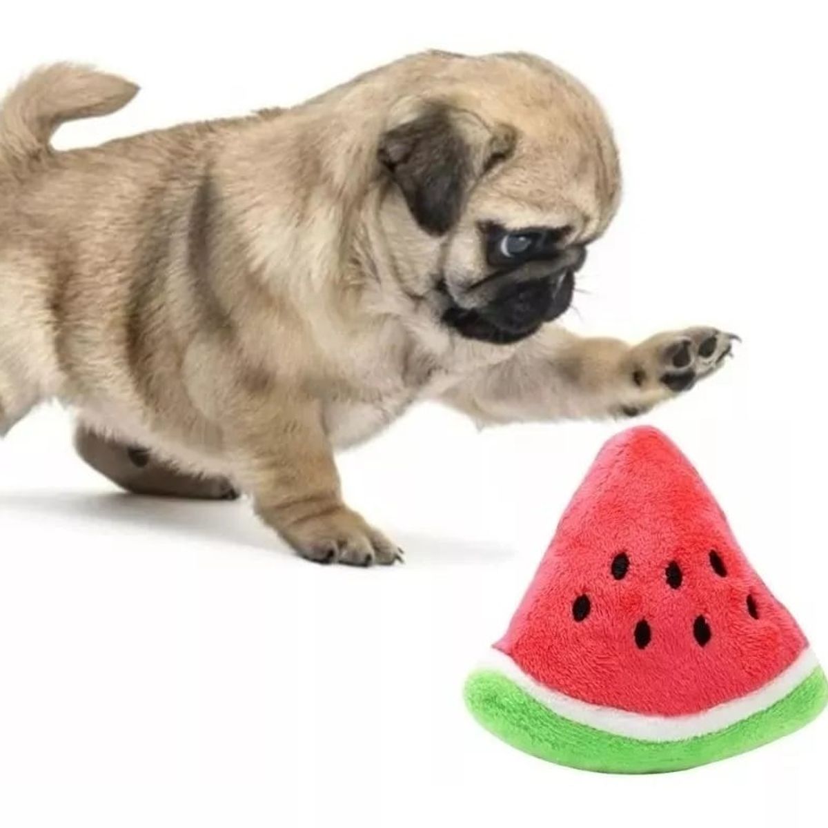 GENERICO - Peluche Para Mascota Sonoro Con Forma De Sandia
